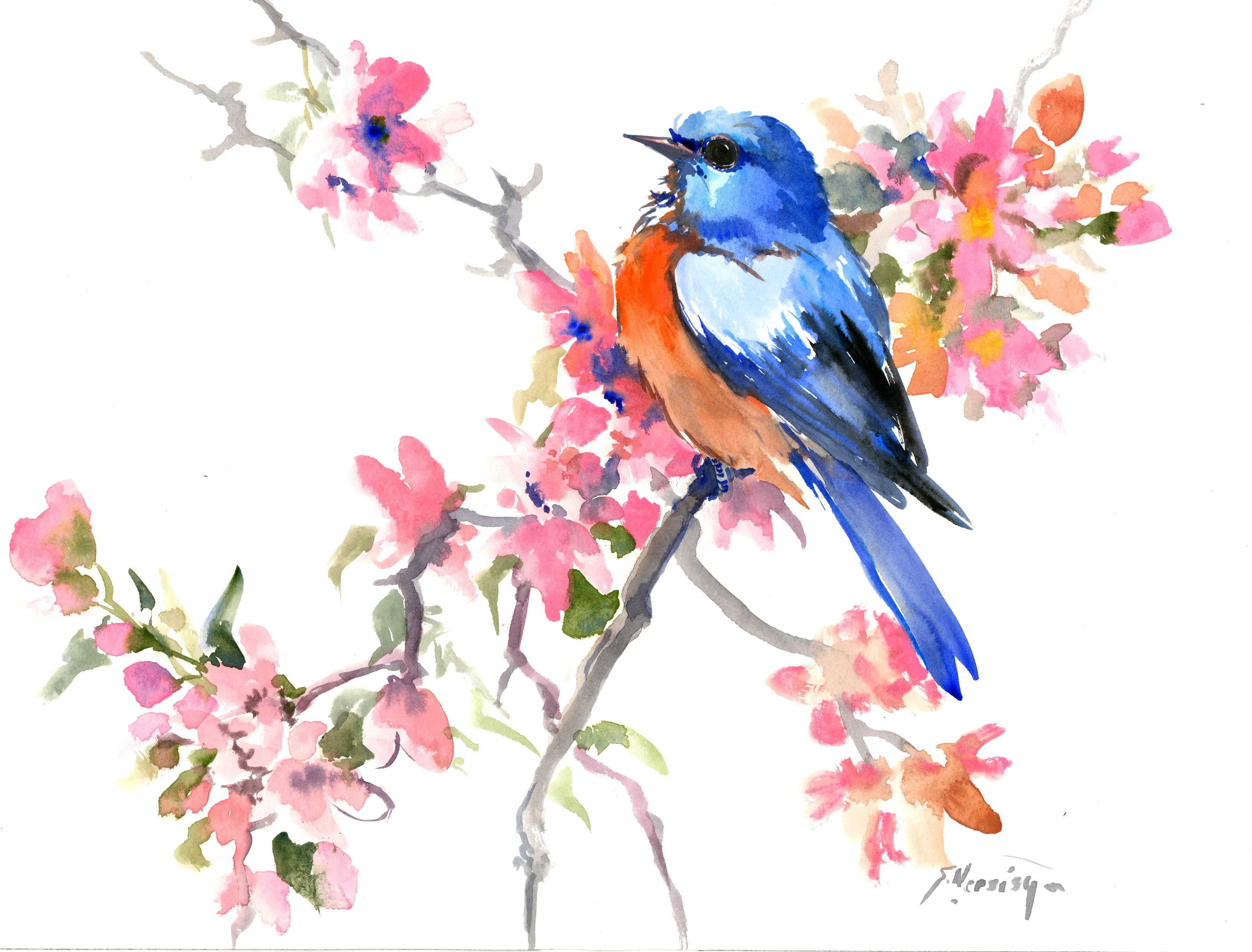 Bluebird Watercolor at GetDrawings | Free download