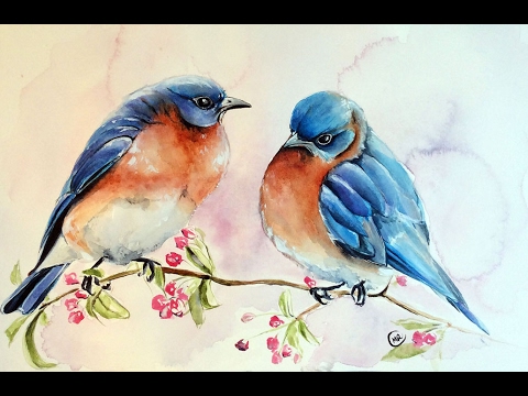 480x360 Watercolor Blue Birds Painting Demonstration