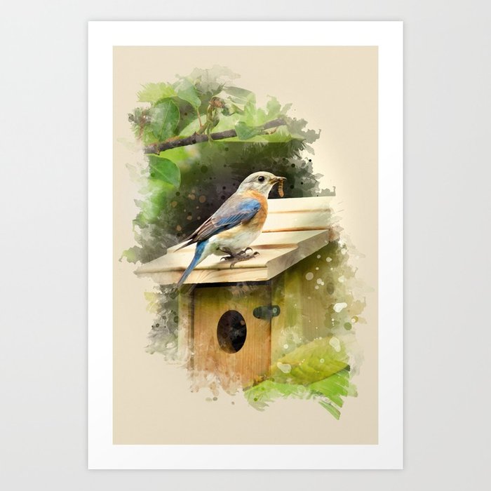 700x700 Watercolor Bluebird Art Art Print By Christinarollo Society6