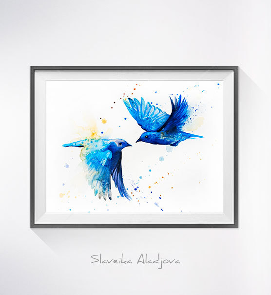 556x604 Western Bluebird Watercolor Painting Print,