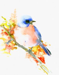 236x298 Eastern Bluebird By Carol Kroll Watercolor