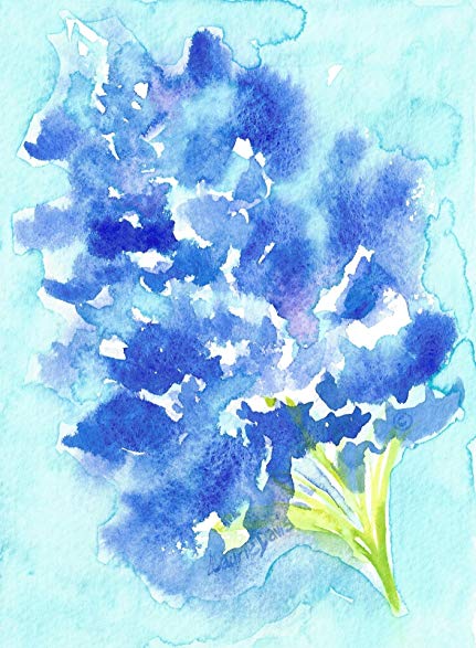 Bluebonnet Watercolor