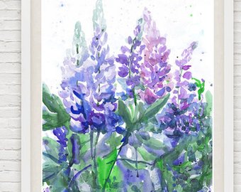 340x270 Bluebonnet Art Etsy