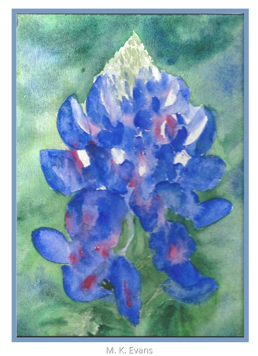 870x1200 Floral Watercolor Paintings Texas Bluebonnet By Margaret Kohel Evans