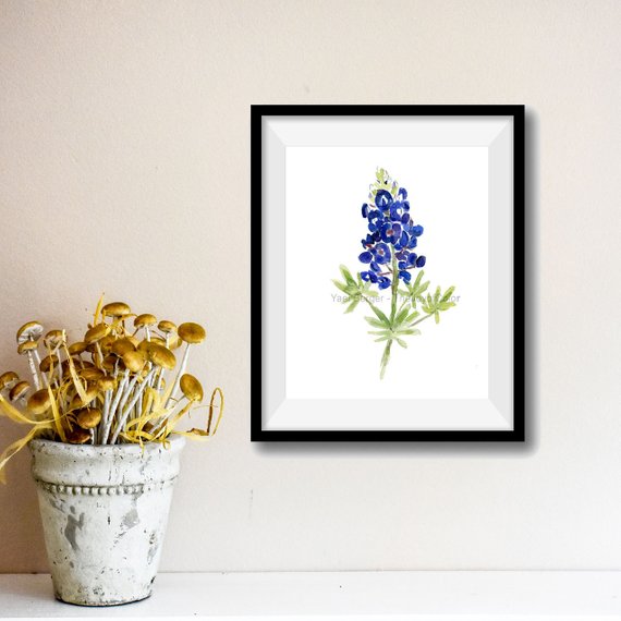 570x570 Art Print Bluebonnet Blue Bonnet Watercolor Print Wild Etsy