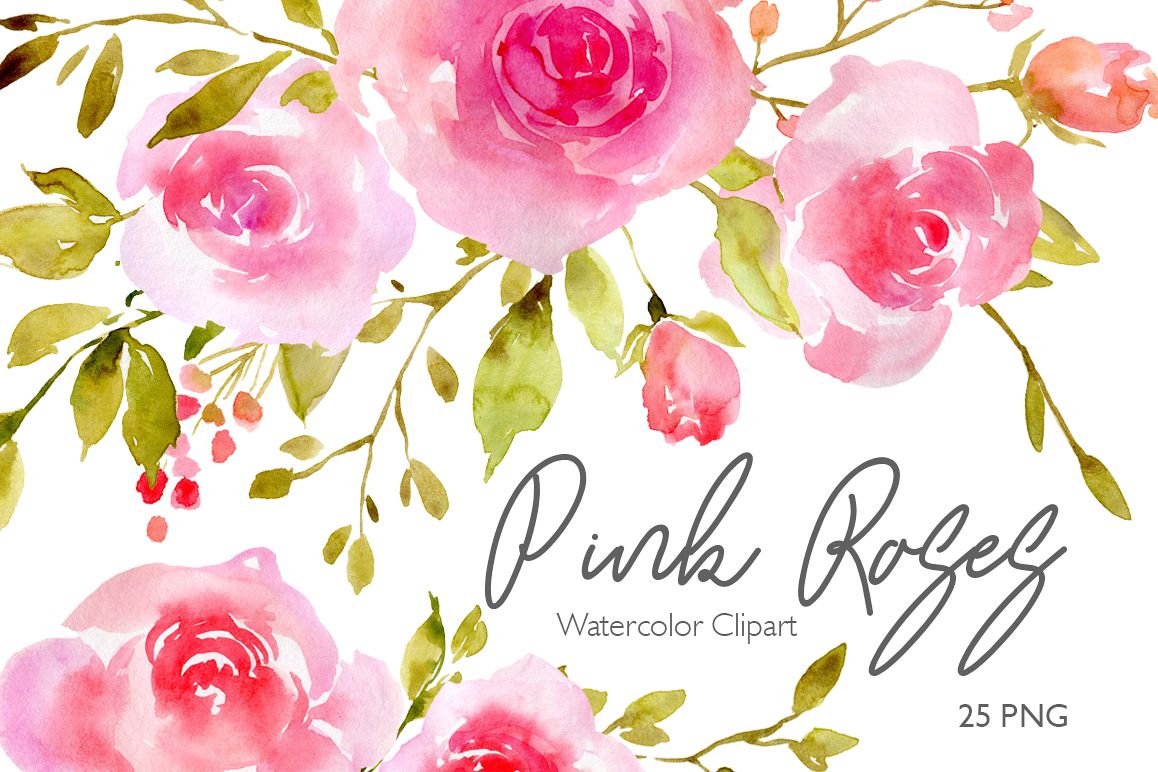 1158x772 Pink Blush Watercolor Flowers Roses Png