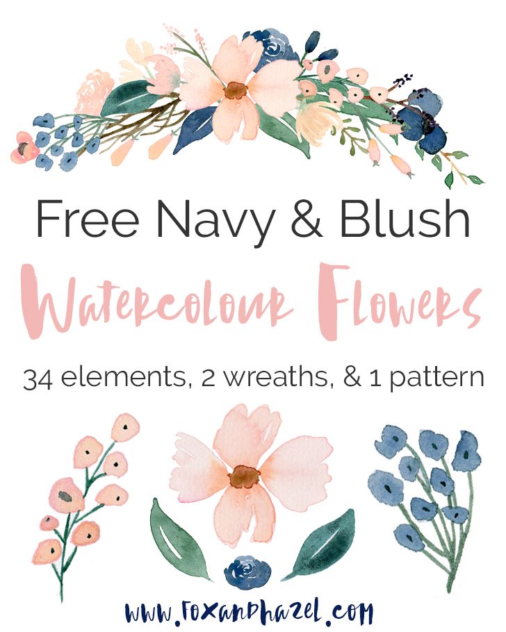 728x910 Beautiful Free Watercolor Flowers