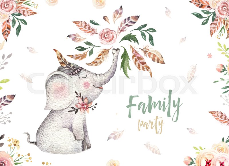 800x582 Cute Baby Elephant Nursery Animal Isolated Illustration For