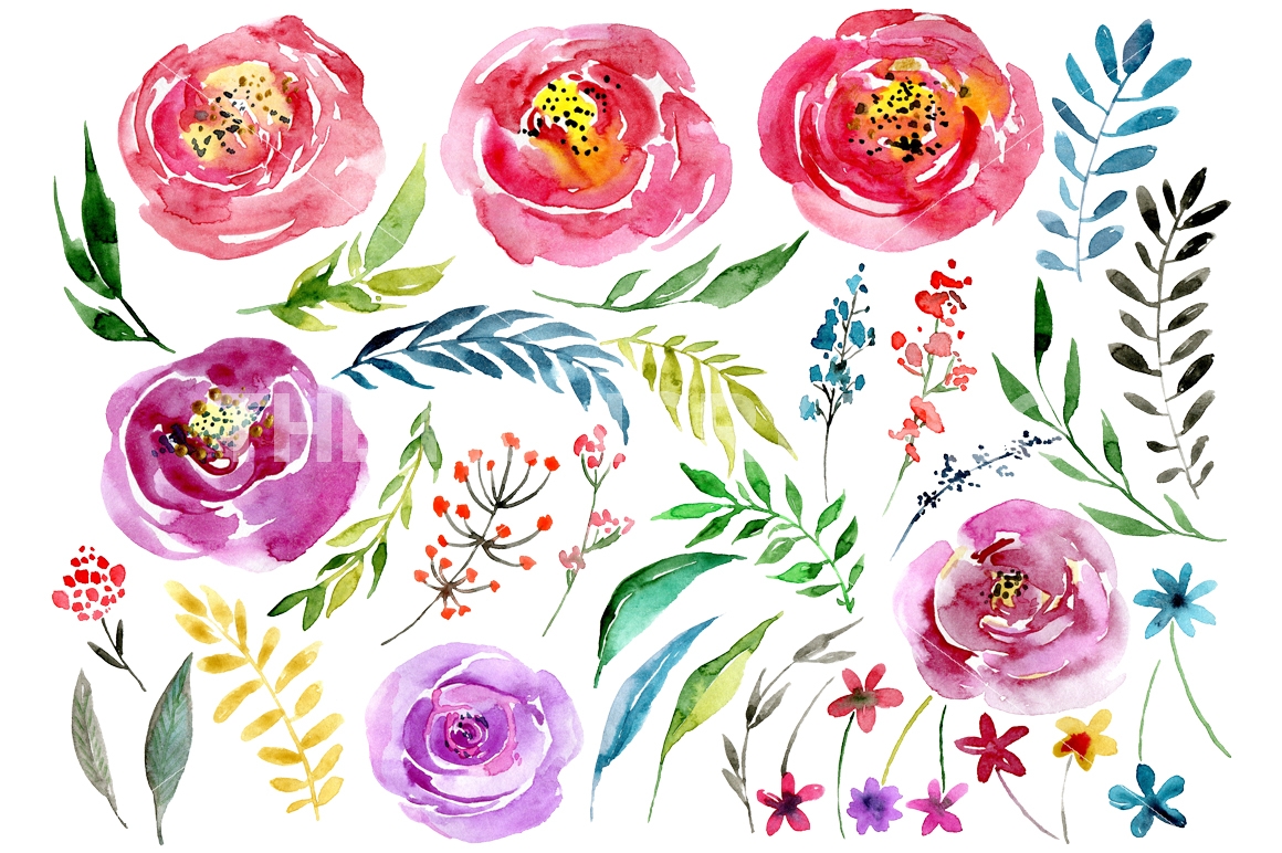 1160x772 Watercolor Boho Flowers Leaves Branches Floral Clipart Png By