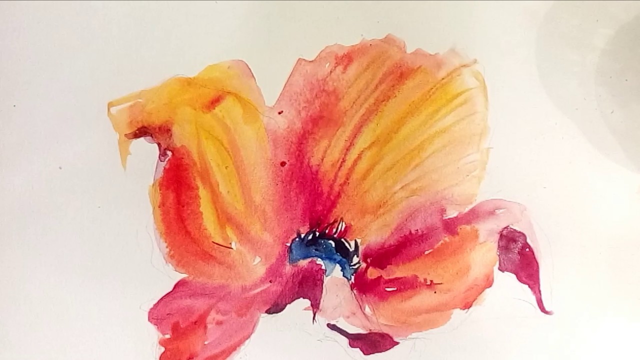 1280x720 Free Flow Watercolor Painting With Hannah Tiffin. Bold Poppy