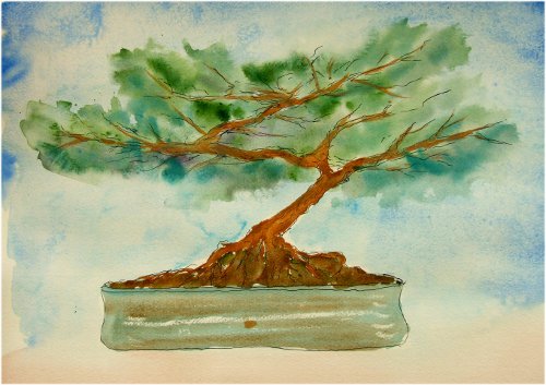 500x353 Bonsai Tree Watercolour Amp Ink Year Of Creativity