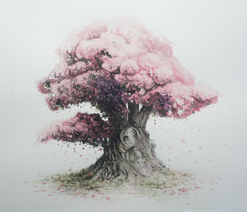 800x689 Bonsai Watercolor 01 By Masakonen