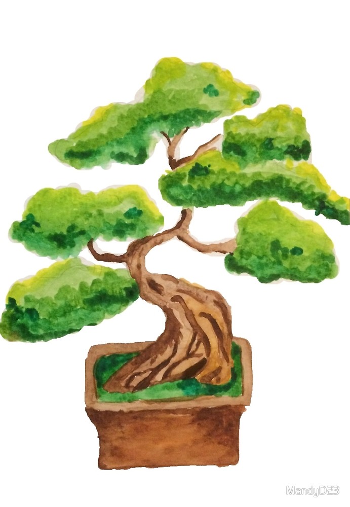 691x1000 Bonsai Watercolor Shirts By Mandyd23 Redbubble