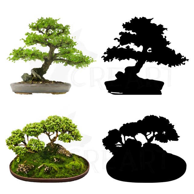 642x642 Bonsai Tree Watercolor And Silhouette Pack. Eps Png Jpg Etsy