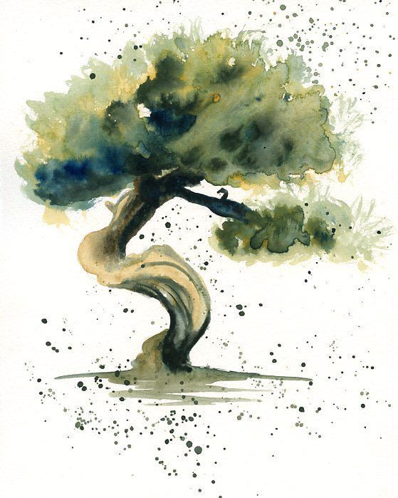 559x699 Bonsai Tree Tattoo Bonsai Tree Painting And More Watercolors Trees