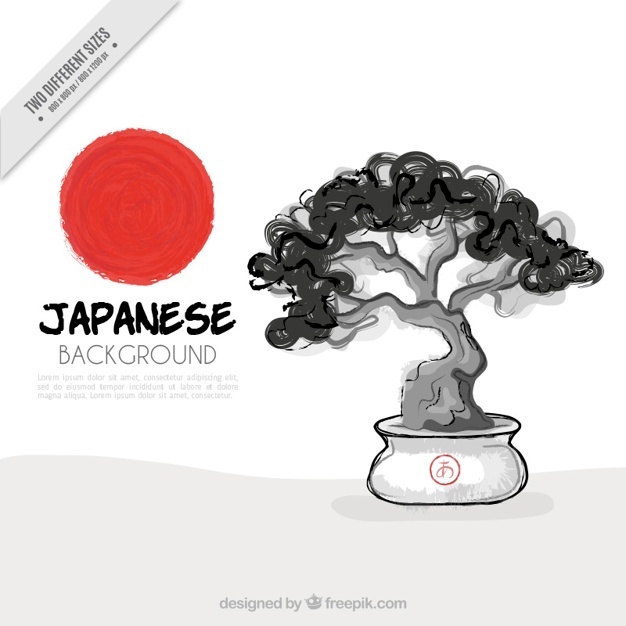 626x626 Bonsai Tree Vectors, Photos And Psd Files Free Download