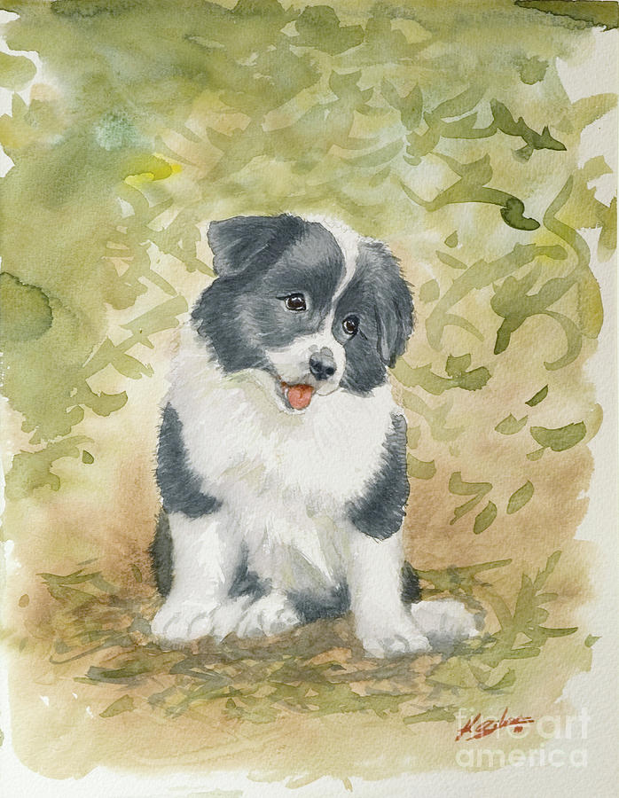 698x900 Border Collie Pup Portrait Ii Painting By John Silver