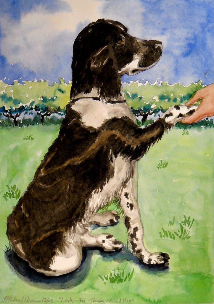 723x1024 Border Collie Watercolor (16x12) Watercolor On Paper