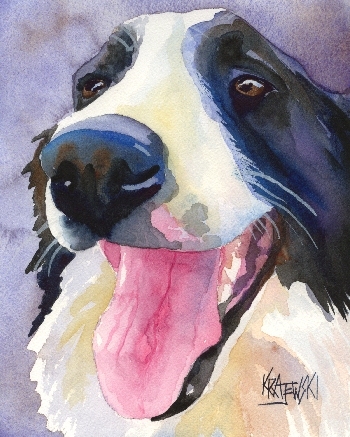 350x437 Border Collie Watercolor Portrait 030806