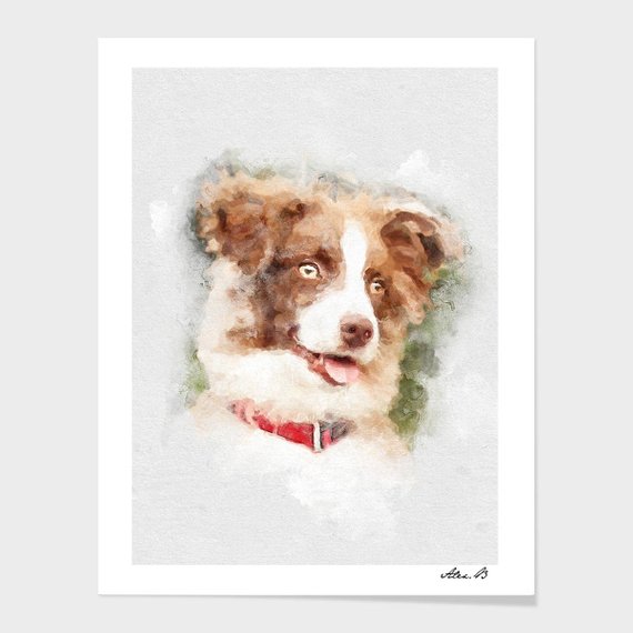 570x570 Border Collie Watercolor Portrait Dog Painting Pet Portraits Etsy
