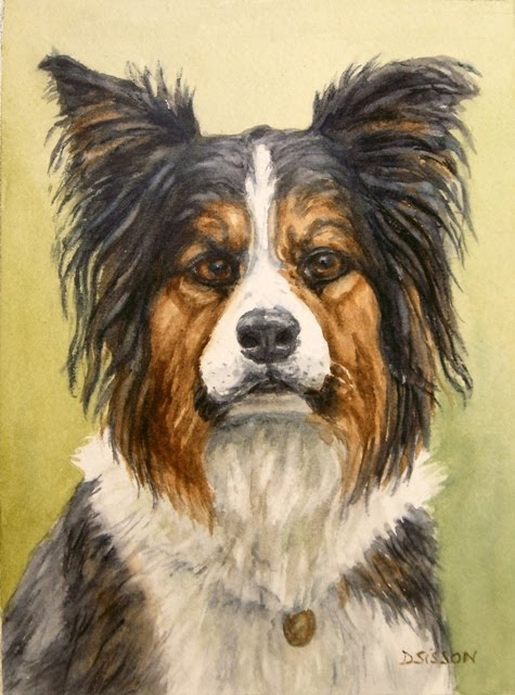 475x640 Daily Painting Projects Border Collie Stare Portrait Watercolor