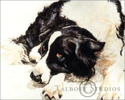 400x318 Talbott Studios Watercolor Pet Portrait Willy, Portrait Of A