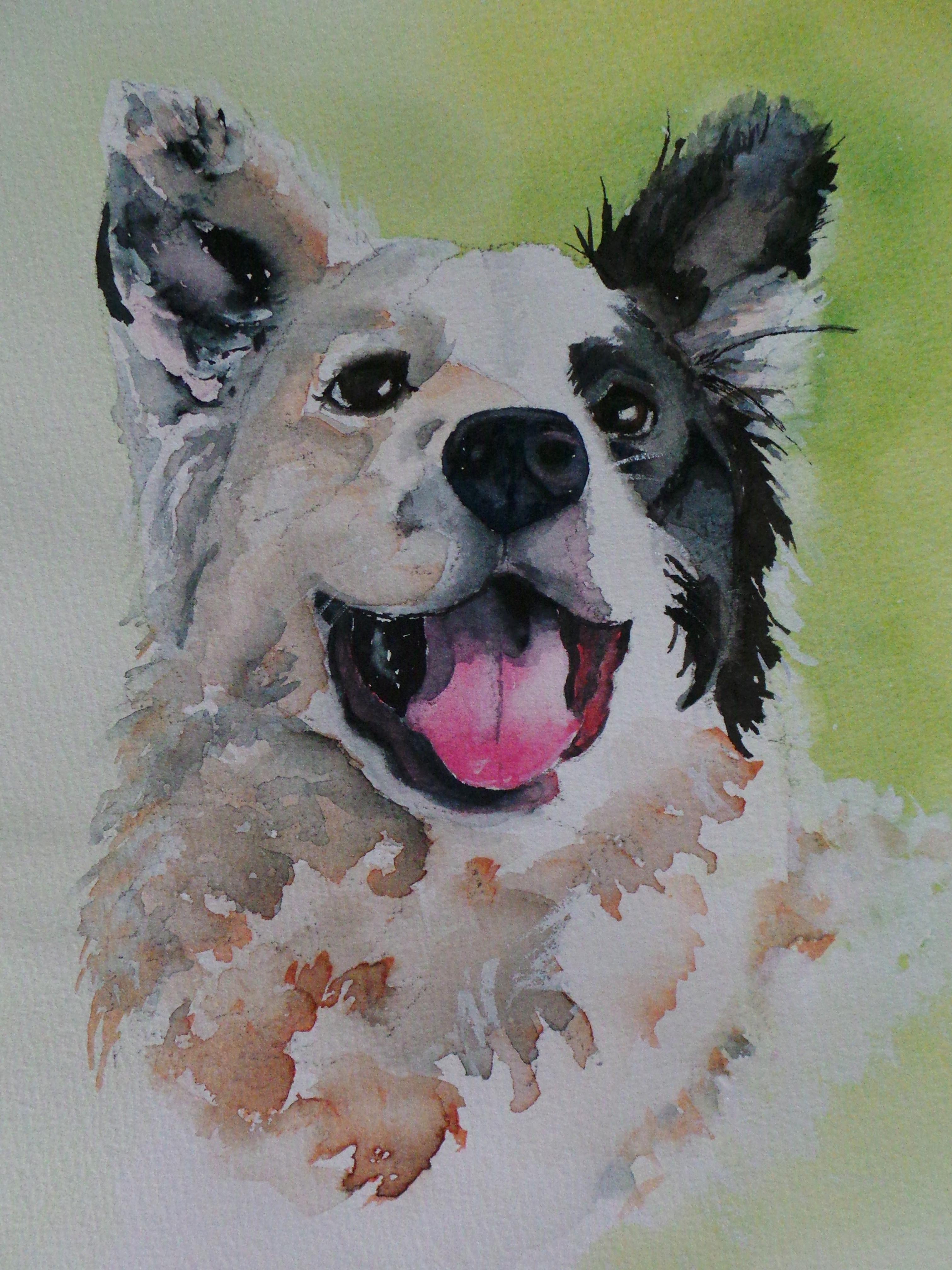 3022x4032 Watercolor Paintings Of Dogs Watercolor Paintings Of Dogs Border