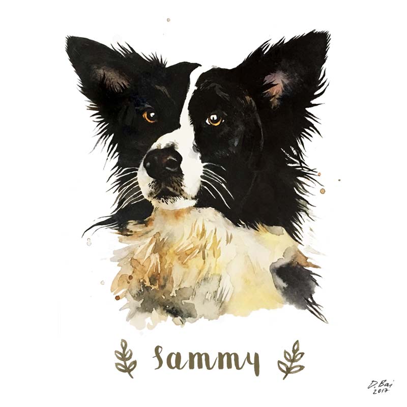 800x800 Watercolor Pet Portrait, Digital Art Print Farbami