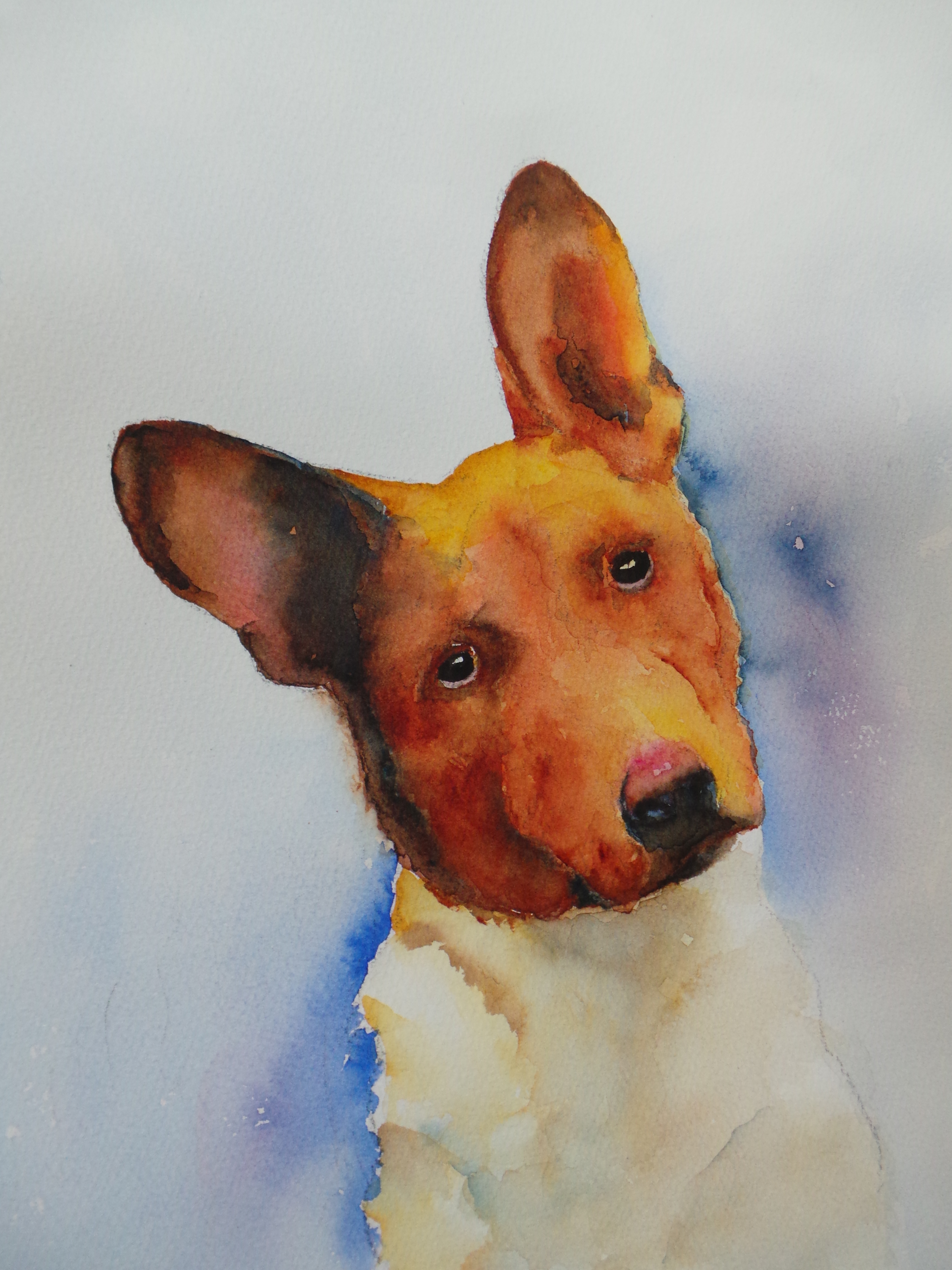3456x4608 Border Collie Annette Bennett Watercolor Art