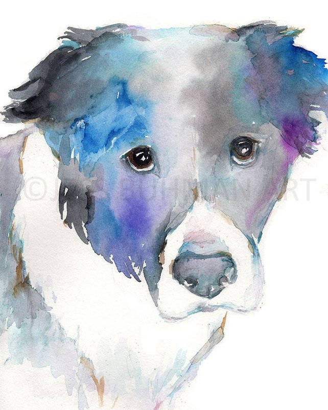 642x803 Border Collie Dog Watercolor Print Silver Dog 8 X Etsy
