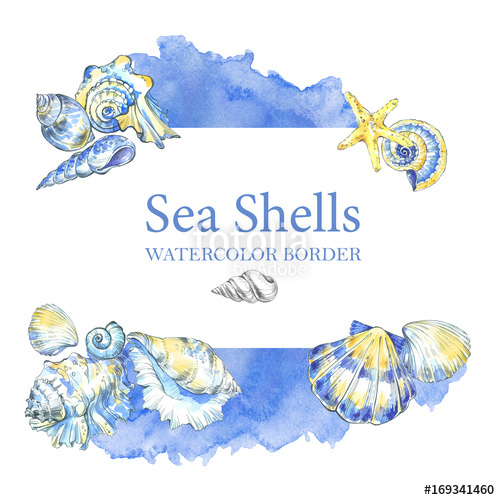 500x500 Hand Painted Seashells Border. Watercolor Decorative Summer