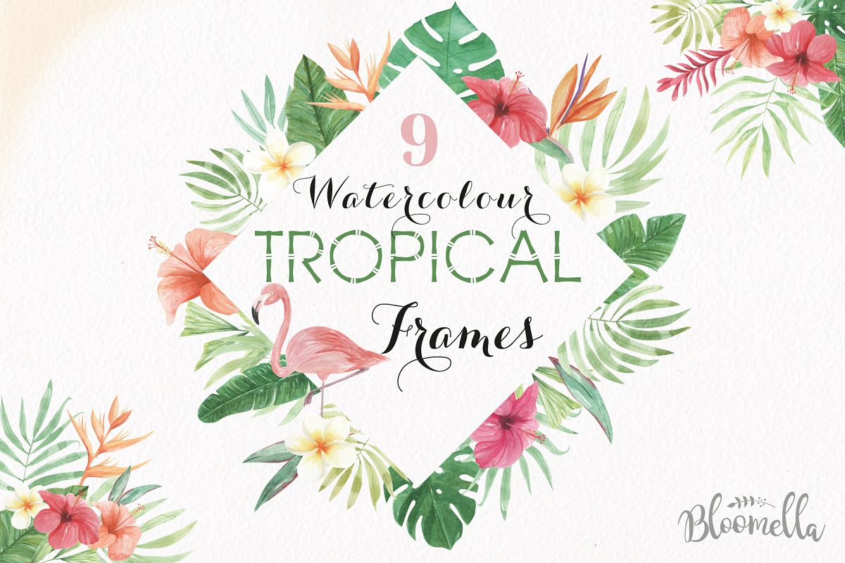 1200x800 Tropical Watercolor Clipart Frames Border Flamingo Flowers Hibiscus