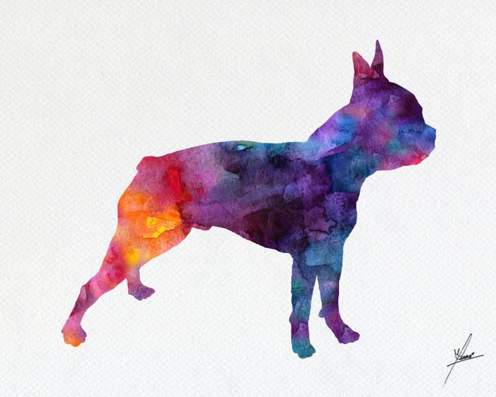 720x576 Boston Terrier Print