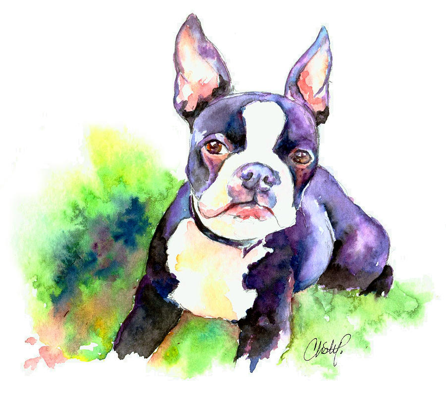 900x821 Boston Terrier Puppy Painting By Christy Freeman