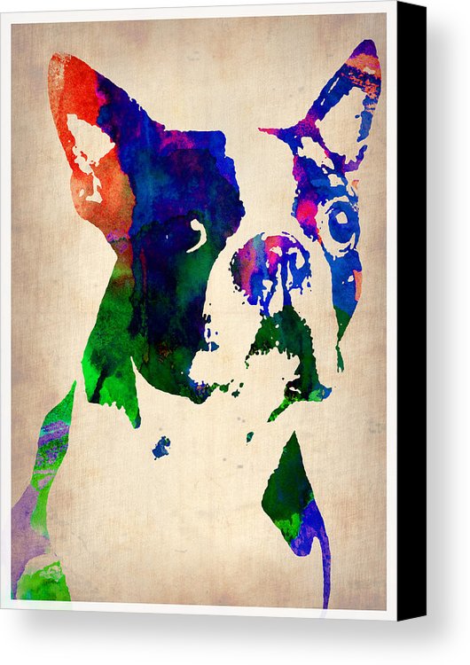 530x750 Boston Terrier Watercolor Canvas Print Canvas Art By Naxart Studio