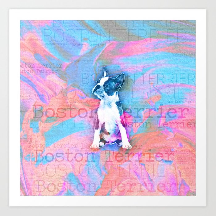 700x700 Boston Terrier Watercolor Digital Art Art Print By K9printart