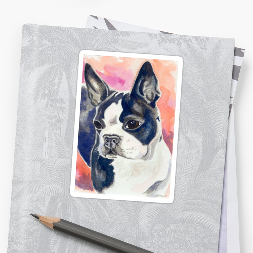 1000x1000 Boston Terrier Watercolor Stickers By Clarityart Redbubble