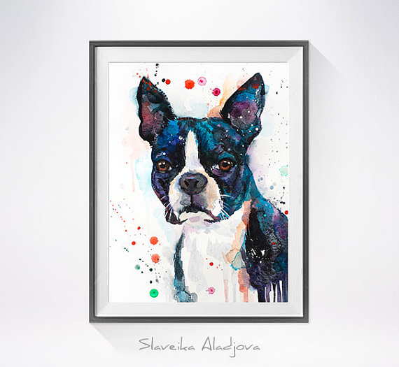 570x525 Boston Terrier Watercolor Painting Print