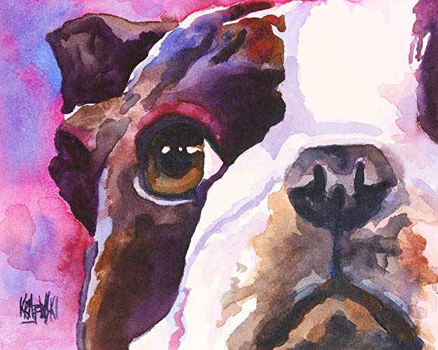 625x500 Boston Terrier Dog Fine Art Print On 100% Cotton