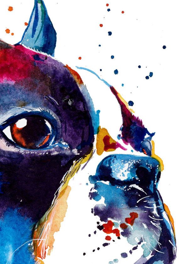 570x840 Colorful Boston Terrier Art Print
