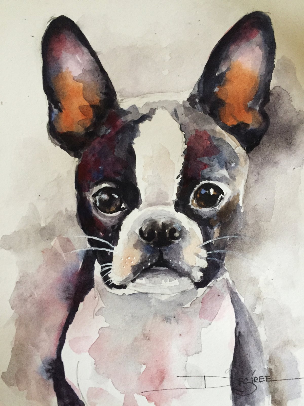 1200x1600 Boston Terrier Art Print 8x 10 (Aw 01)