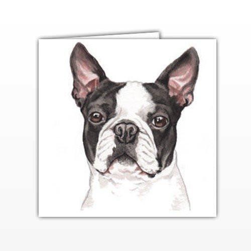 500x500 Boston Terrier Dog Greeting Card