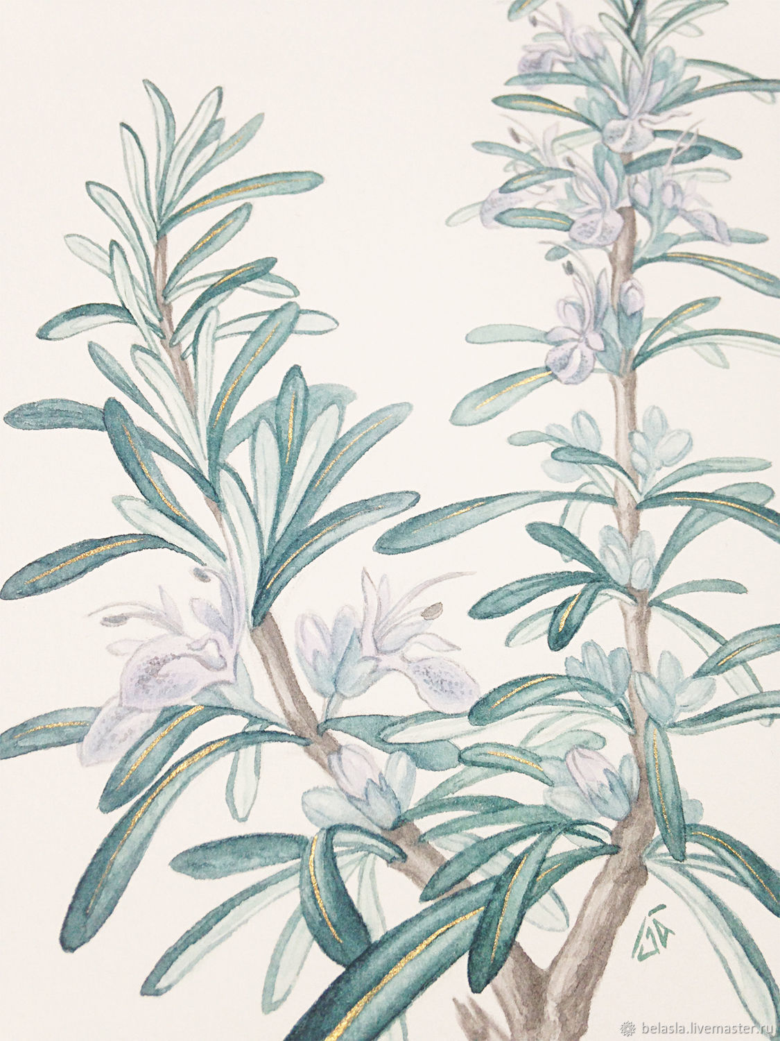 1125x1500 Botanical Watercolor, Rosemary Shop Online On Livemaster With