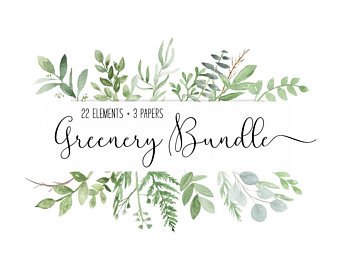 340x270 Botanical Watercolor Etsy