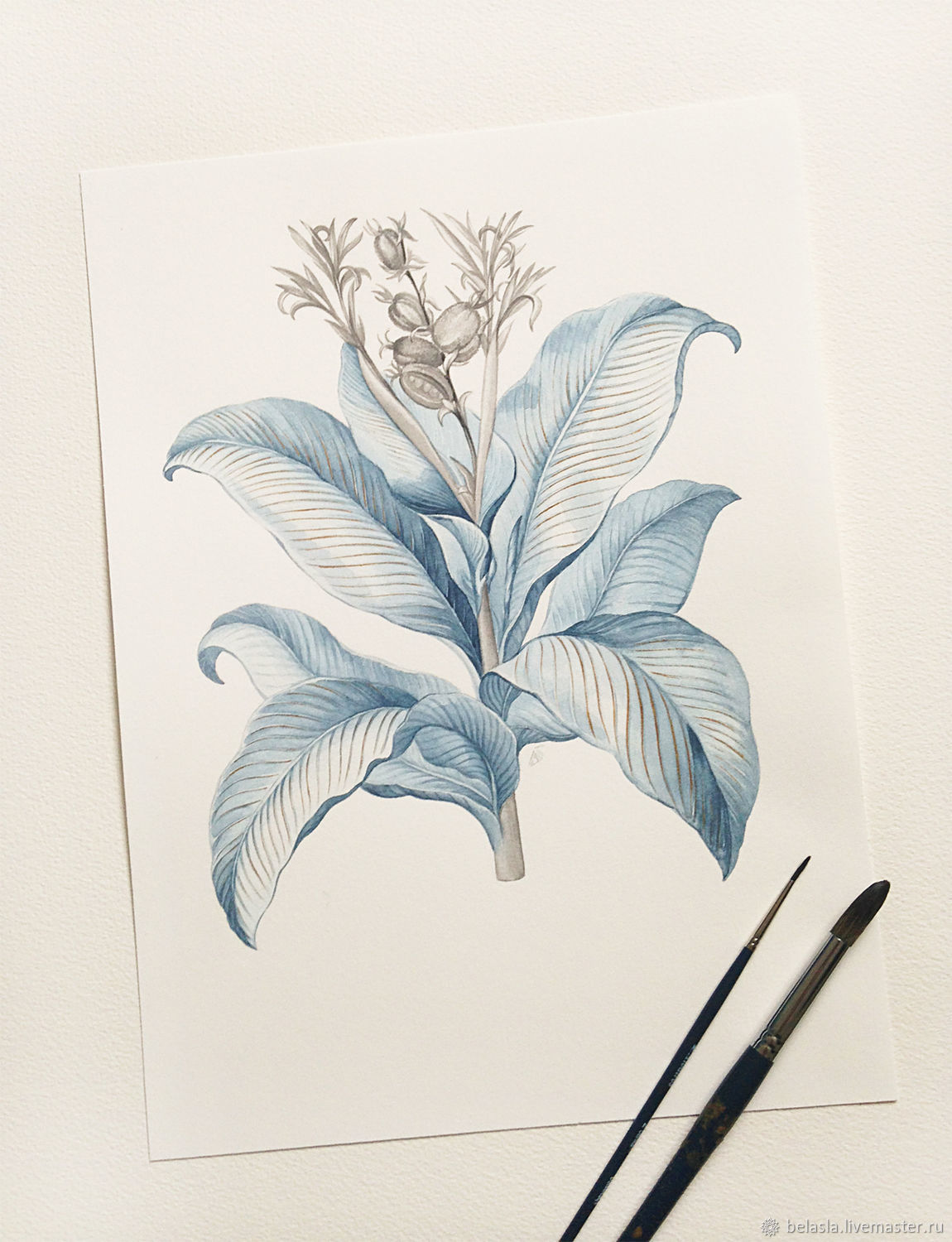 1150x1500 Botanical Watercolor Shop Online On Livemaster With Shipping