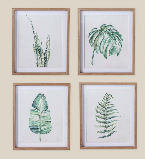 495x544 Framed Botanical Watercolor Print Set Of 4 Vivaterra