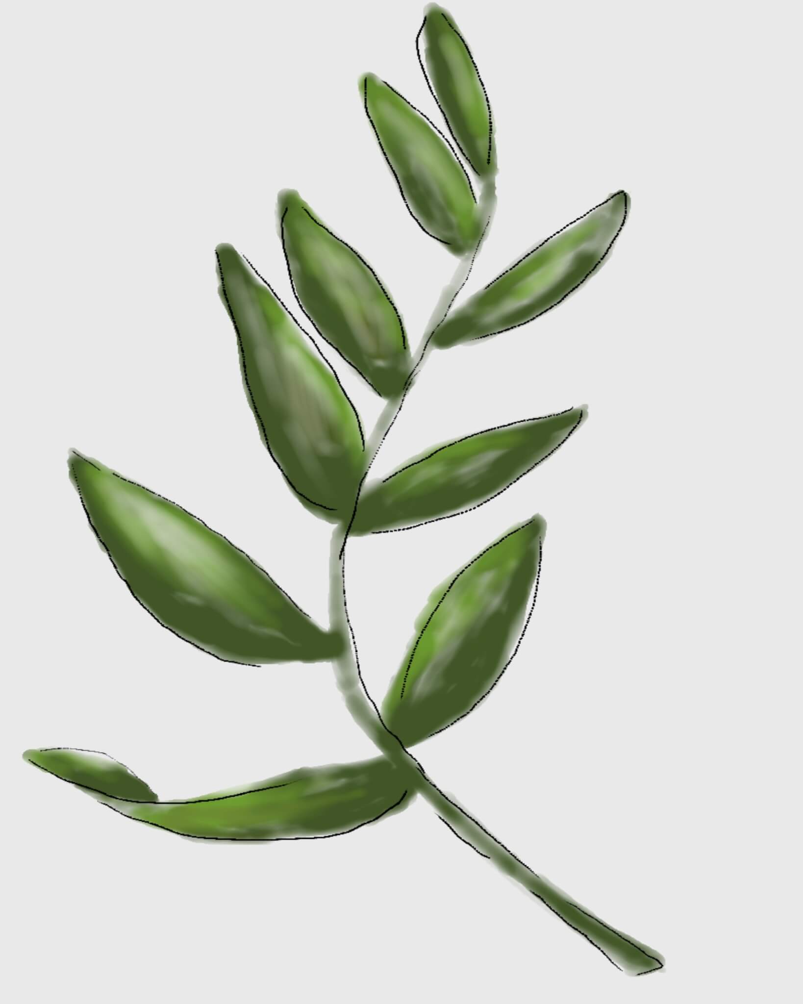 1638x2048 Free Watercolor Botanical Printables Free Printable Friday