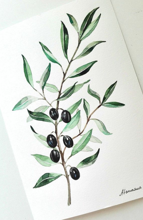 570x872 Olive Branch Painting Olives Watercolor Original Watercolor