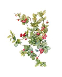 236x295 646 Best Watercolor