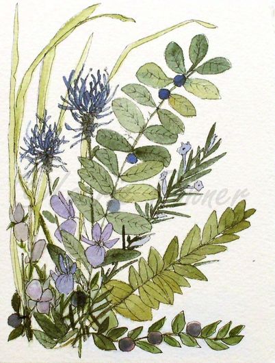 402x530 Watercolor Woodland Flowers Nature Art Illustration Quote